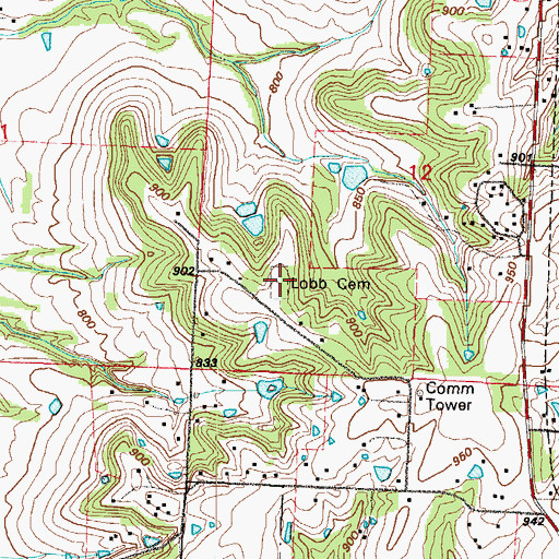 Topographic Map of Lobb Cemetery, MO