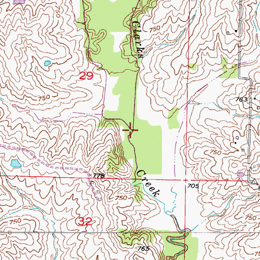 Topographic Map of Locust Branch, MO