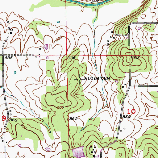Topographic Map of Loeb Cemetery, MO