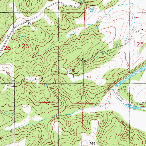 Topographic Map of Loehner School, MO