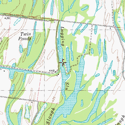 Topographic Map of Logging Slough, MO