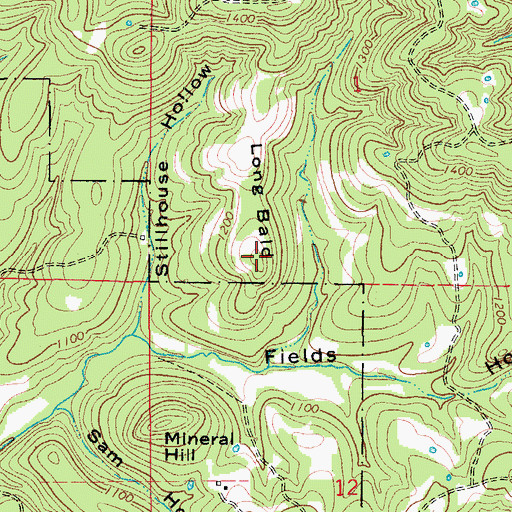 Topographic Map of Long Bald, MO