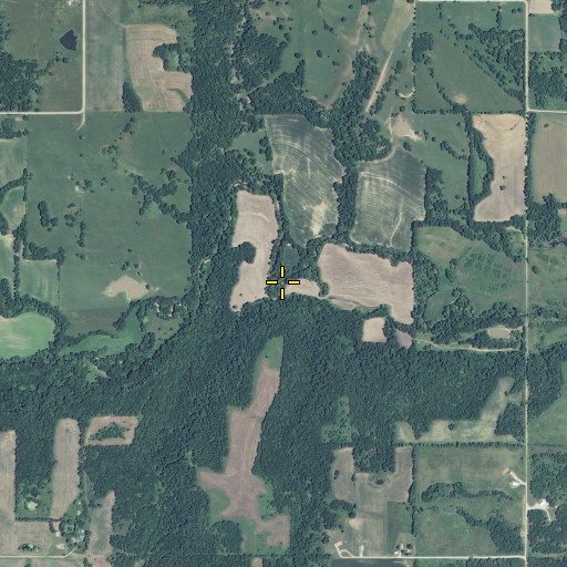 Aerial/Satellite Image of Long Branch, MO