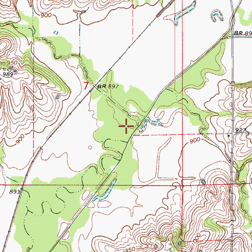 Topographic Map of Long Branch, MO