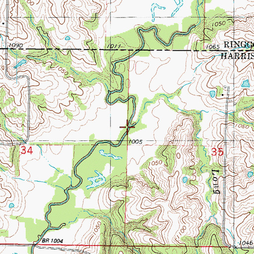 Topographic Map of Long Branch, MO