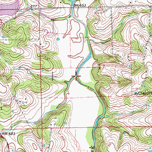 Topographic Map of Long Branch, MO
