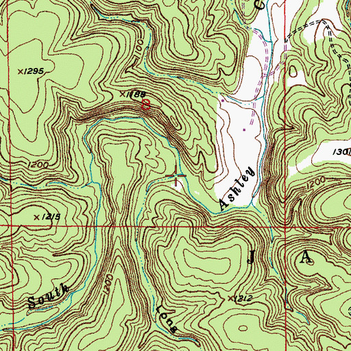 Topographic Map of Long Hollow, MO