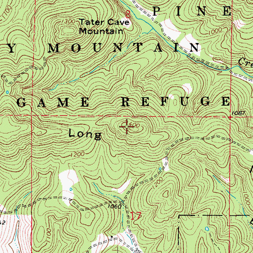Topographic Map of Long Mountain, MO