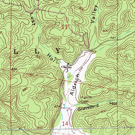 Topographic Map of Lost Hollow, MO