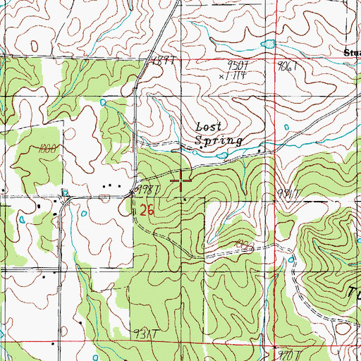 Topographic Map of Lost Spring School, MO