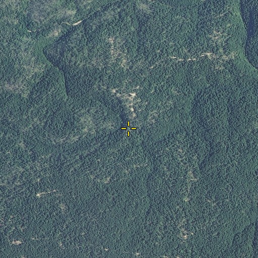 Aerial/Satellite Image of Low Gap, MO