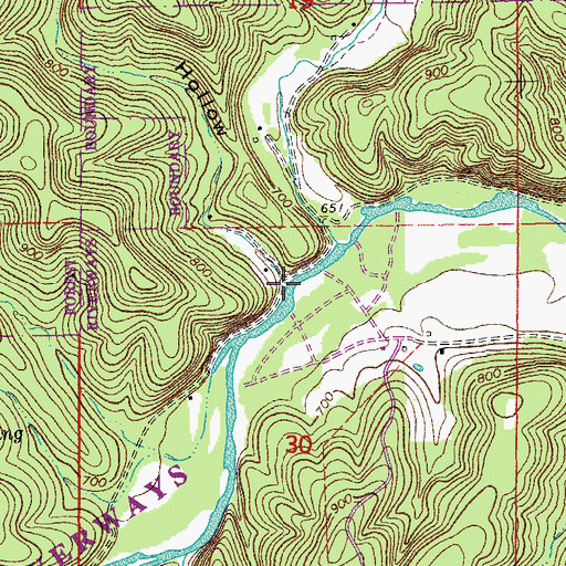 Topographic Map of Low Gap Hollow, MO