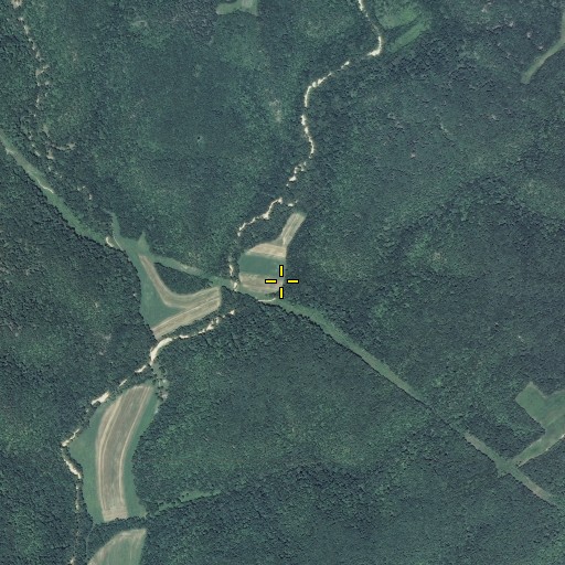 Aerial/Satellite Image of Low Gap Hollow, MO