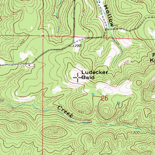 Topographic Map of Ludecker Bald, MO