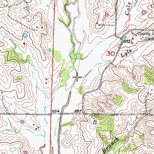 Topographic Map of Lyle Branch, MO