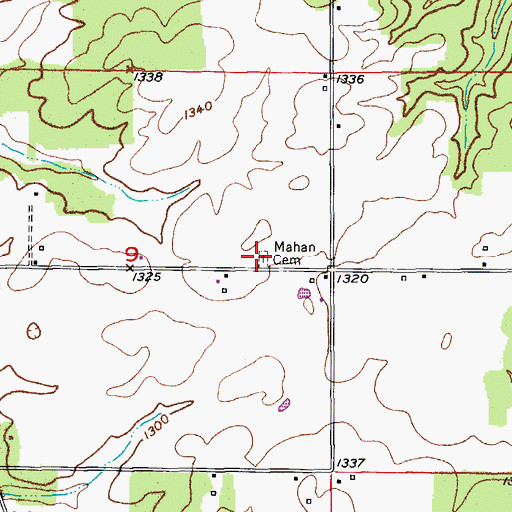 Topographic Map of Mahan Cemetery, MO