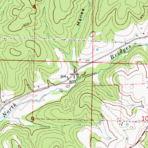 Topographic Map of Manes Hollow, MO
