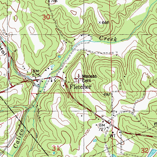 Topographic Map of Maness Cemetery, MO