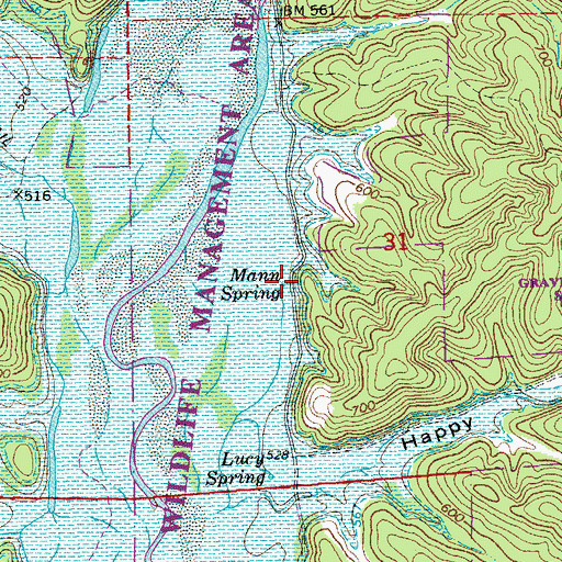 Topographic Map of Mann Spring, MO
