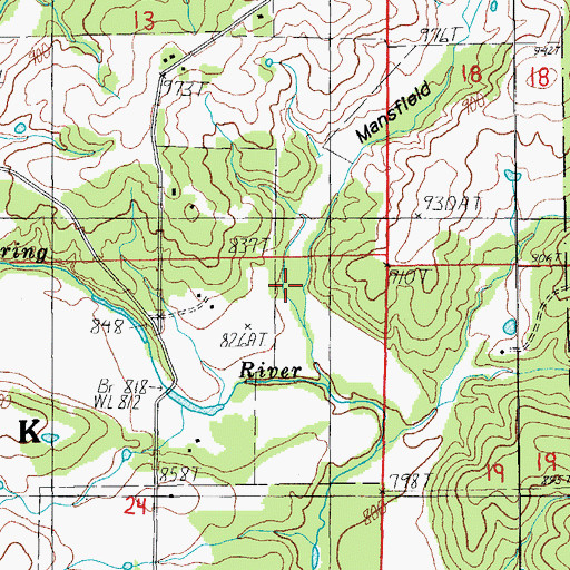 Topographic Map of Mansfield Hollow, MO