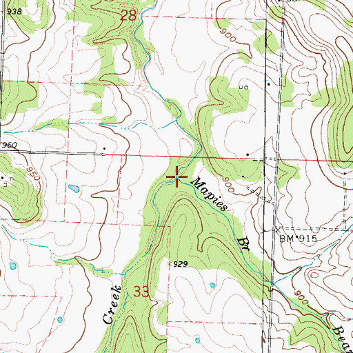 Topographic Map of Mapies Branch, MO
