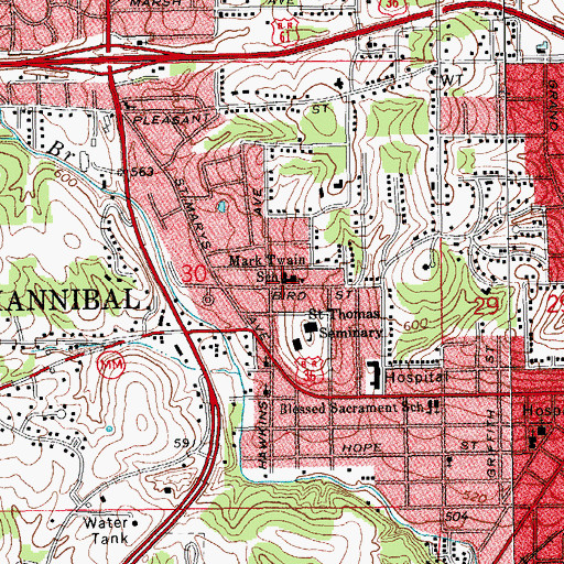Topographic Map of Mark Twain School, MO