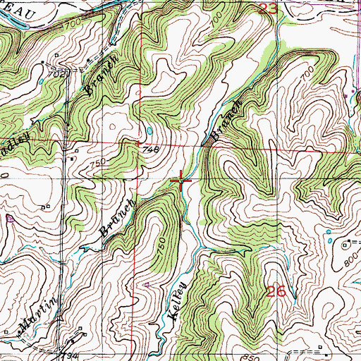 Topographic Map of Martin Branch, MO