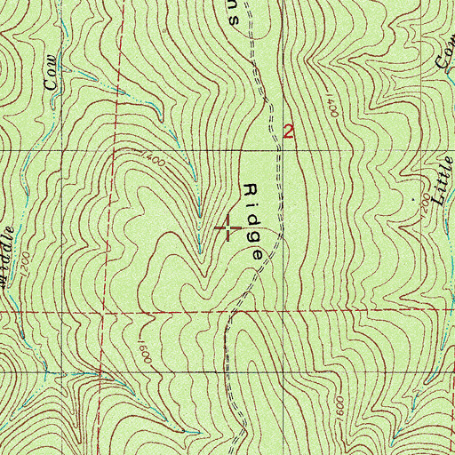 Topographic Map of Jims Ridge, AR
