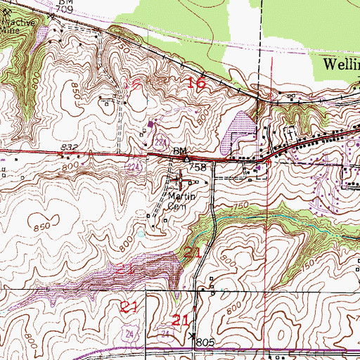 Topographic Map of Martin - Carr Cemetery, MO