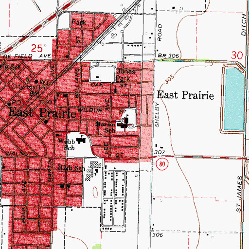 Topographic Map of Martin School, MO