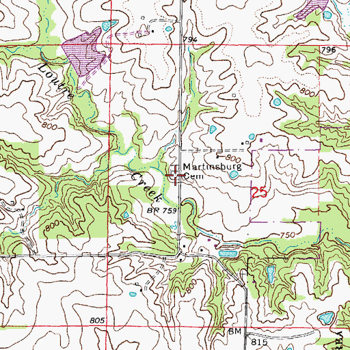 Topographic Map of Martinsburg Cemetery, MO
