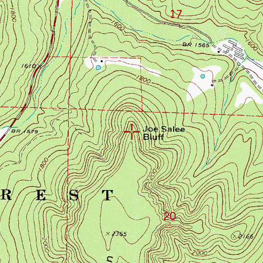Topographic Map of Joe Salee Bluff, AR