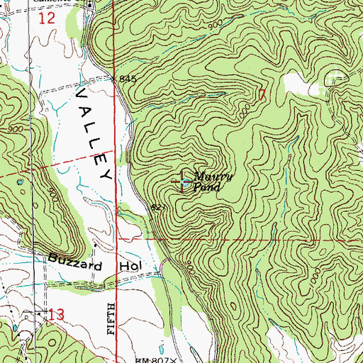 Topographic Map of Maury Pond, MO