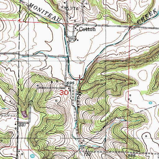 Topographic Map of Maxie Branch, MO