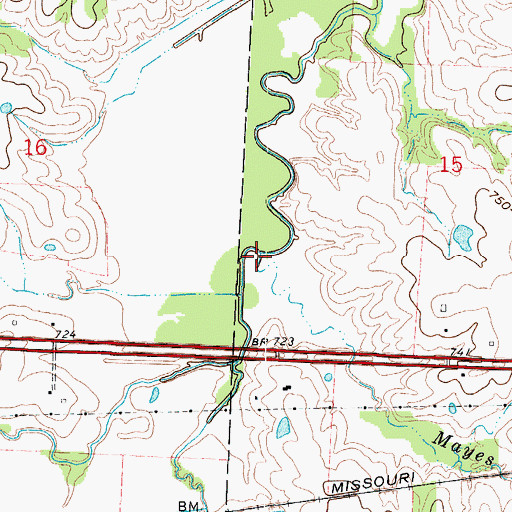 Topographic Map of Mayes Branch, MO