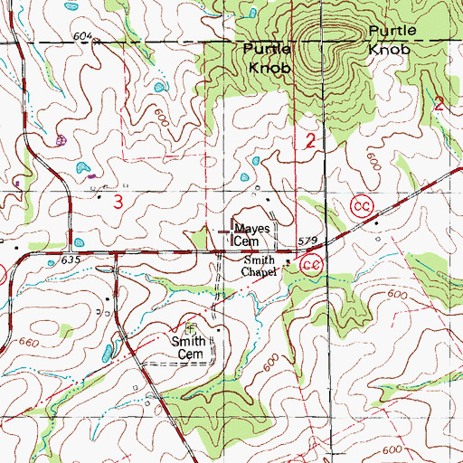 Topographic Map of Mayes Cemetery, MO