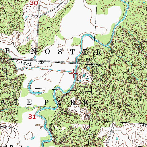 Topographic Map of McAdoo Creek, MO