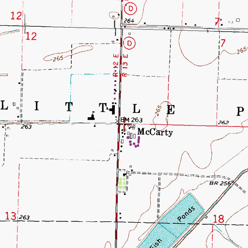 Topographic Map of McCarty, MO