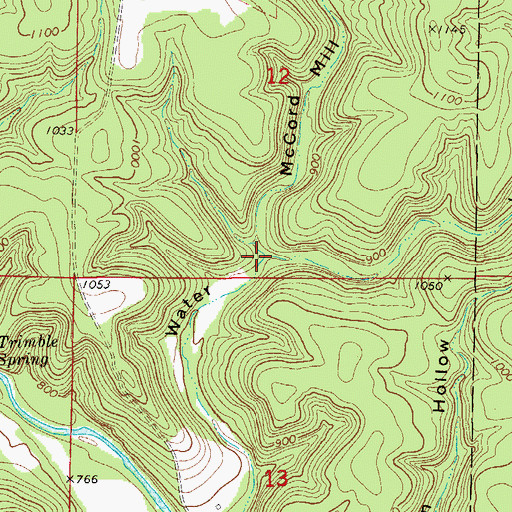 Topographic Map of McCord Mill Hollow, MO