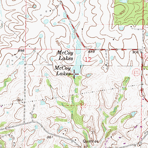 Topographic Map of McCoy Lakes, MO
