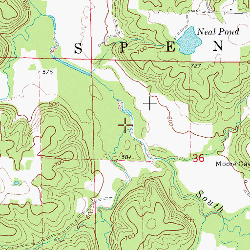 Topographic Map of McDowell Branch, MO