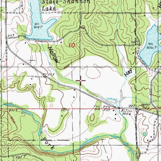 Topographic Map of McGinty Hollow, MO