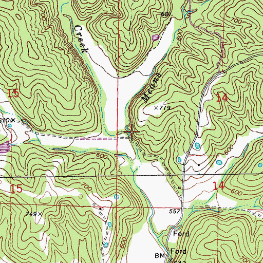 Topographic Map of Means Branch, MO