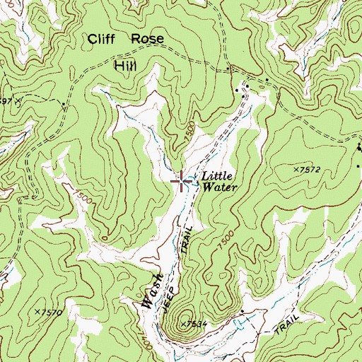 Topographic Map of Little Water, AZ