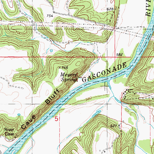 Topographic Map of Meyers Spring, MO