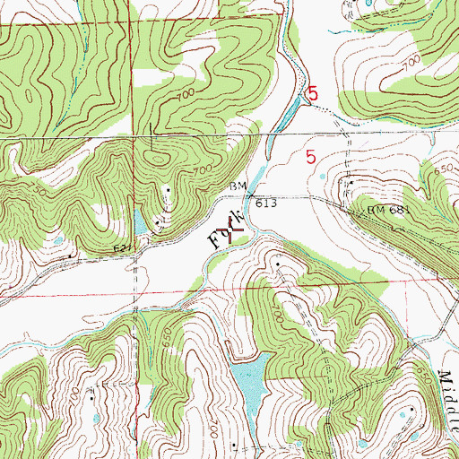 Topographic Map of Middle Fork, MO
