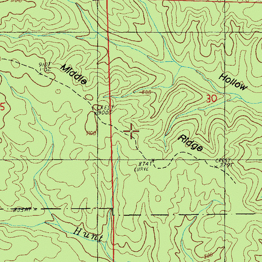 Topographic Map of Middle Ridge, MO