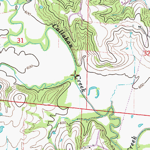 Topographic Map of Midway Branch, MO