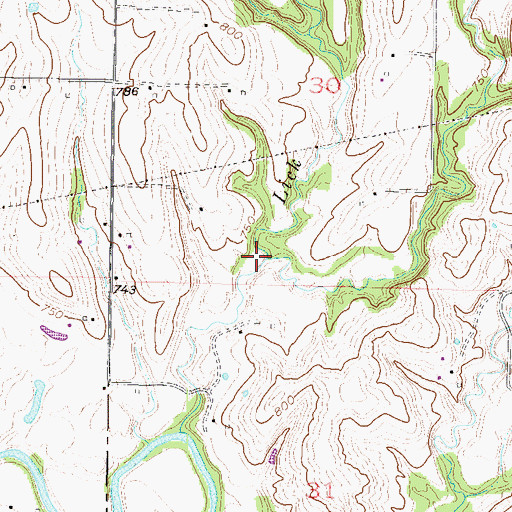 Topographic Map of Miles Creek, MO