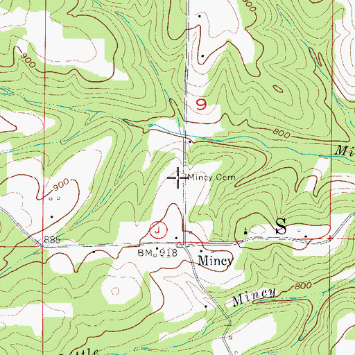 Topographic Map of Mincy Cemetery, MO